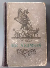 Be šeimos knygos viršelis