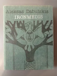 Ironmedis knygos viršelis